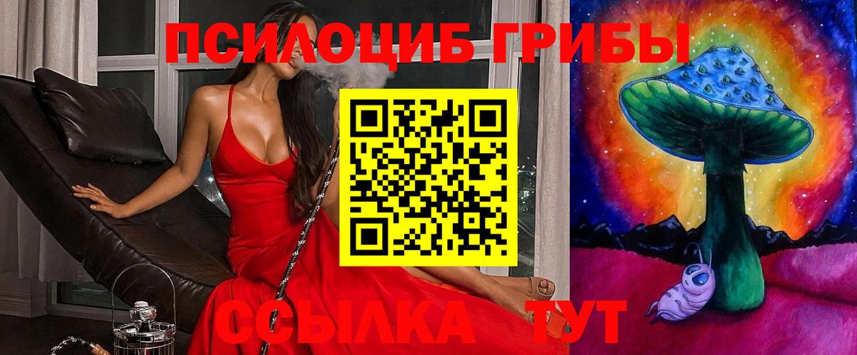 Карасук  Галлюциногенные грибы мухоморы  Вход с VPN 