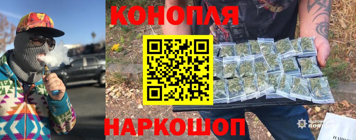 Шишки марихуана план Карасук